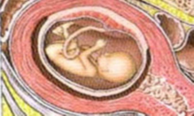 تستهاي تشخيص حاملگي خانگي