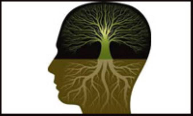 بازبینی یادگیری‌ها چیست؟