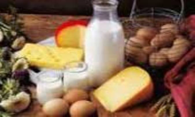 رژیم غذایی برای گروه خونی B مثبت