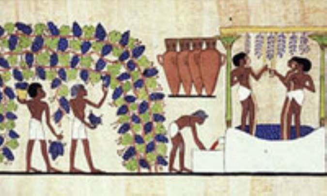 دادخواهی کشاورز