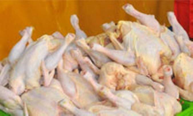 ارزش تغذيه اي گوشت پرندگان اهلي و وحشي