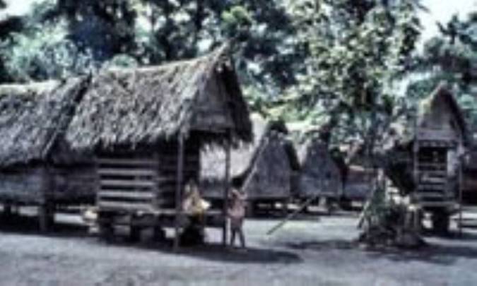 اقتصاد ملانزیایی و نظریه‌ی کمونیسم ابتدایی