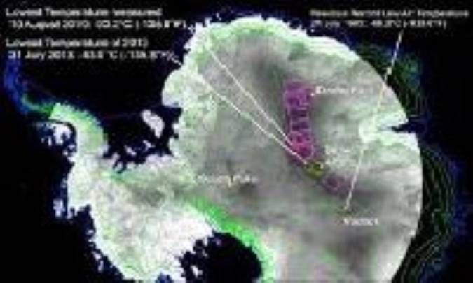 باقی مانده‌های یک جنگل در قاره‌ی قطب جنوب