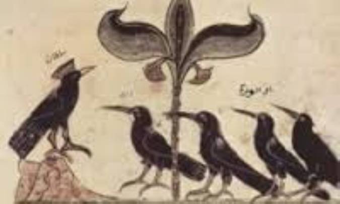 کلاغ هوشمند