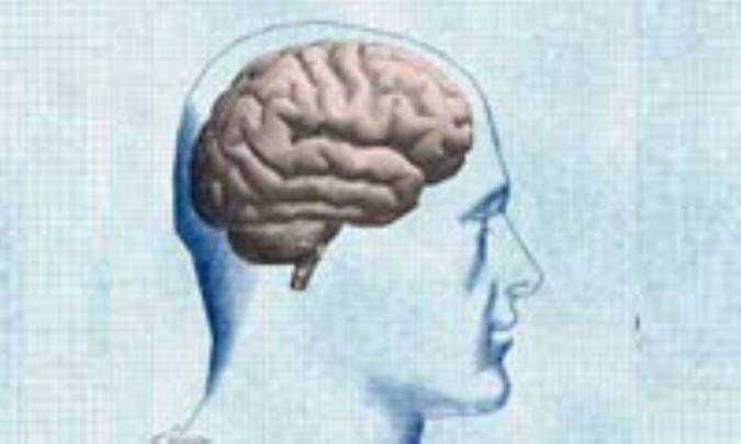 هرمنوتیک و عمل‌باوری