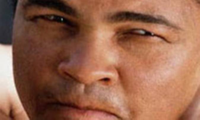 پروانه در دام