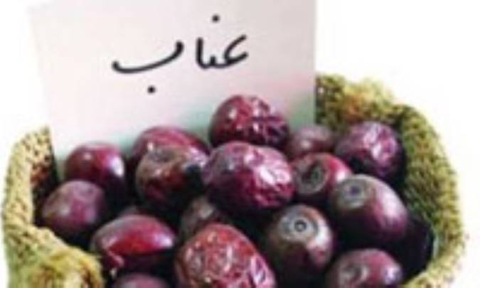 خواص عناب