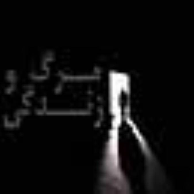 مرگ و زندگى در نگاه علوى
