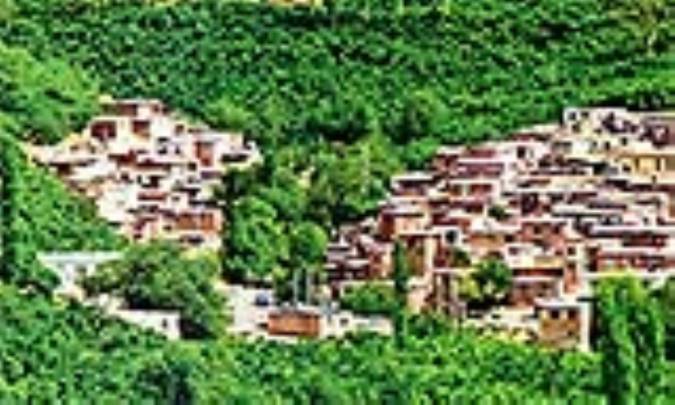 در دامنه‌های رویا