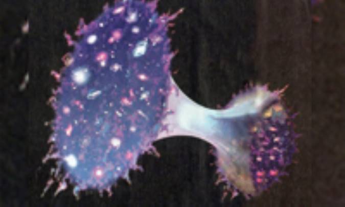 جهان باورنکردنی همزاد ما