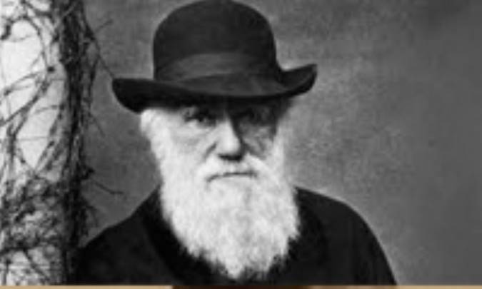 آشنایی با داروین