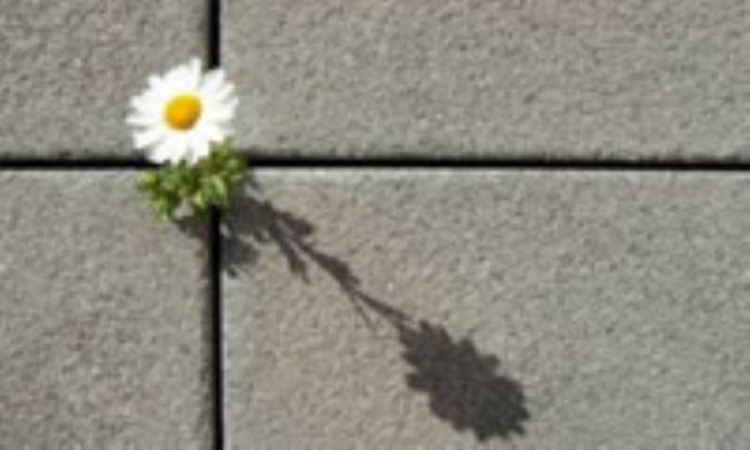 امید به مثابه الاهیات سیاست