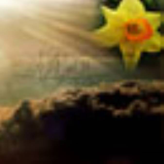 انتظار ظهور و دیدگاه های مختلف