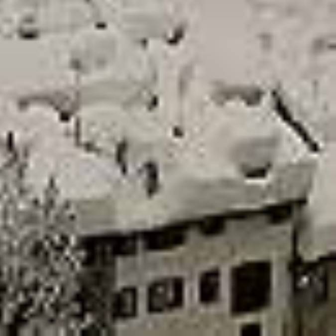 هنر زنده ماندن در برف