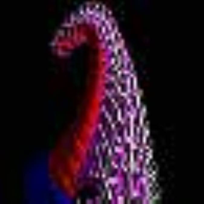 ژنتیک و شبیه سازی