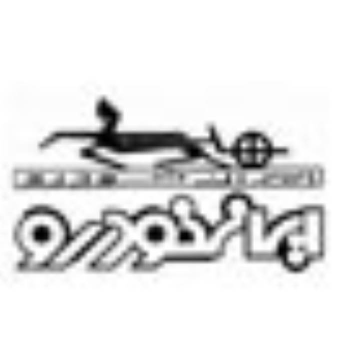 تاريخچه شركت ايران خودرو