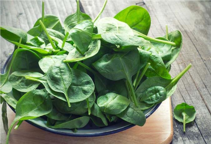 اسفناج و یک دنیا خاصیت