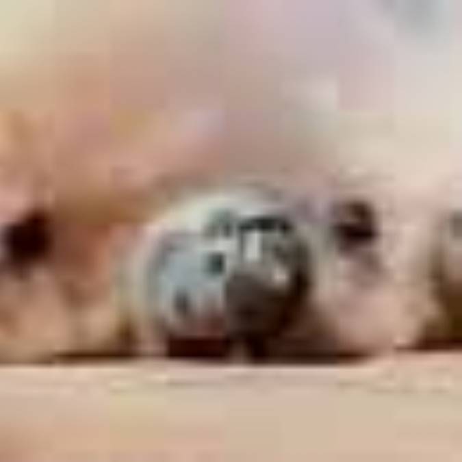 پرونده ی طبس 