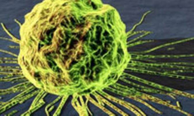 10 فرمان عليه يک سرطان