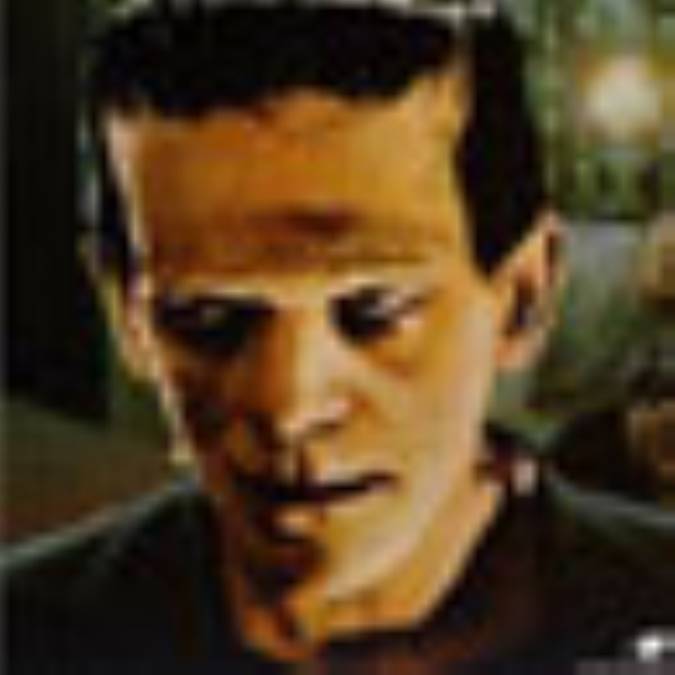 فرانكنستاين (FRANKENSTEIN)