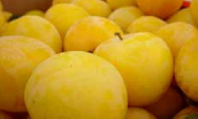 ارزش تغذيه‌اي انواع آلو