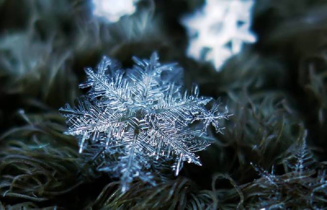 نکات جالب و خواندنی درباره برف