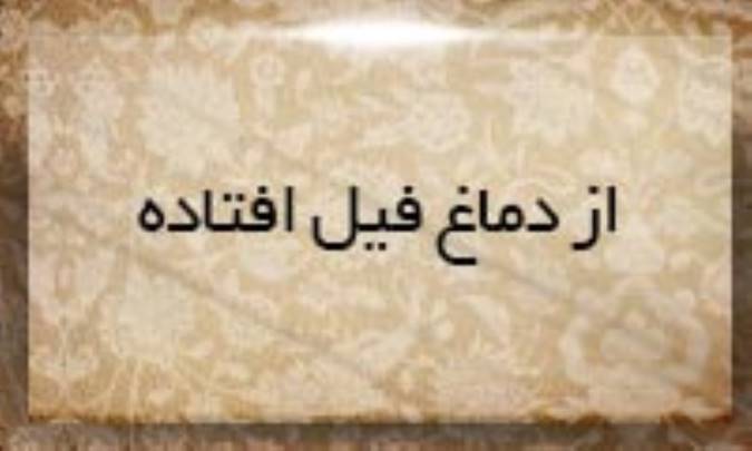 از دماغ فیل افتاده