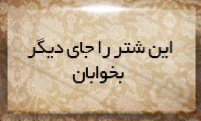 این شتر را جای دیگری بخوابان