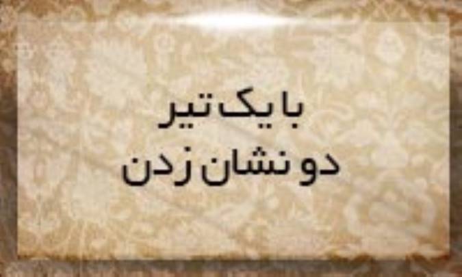 با یك تیر دو نشان زدن