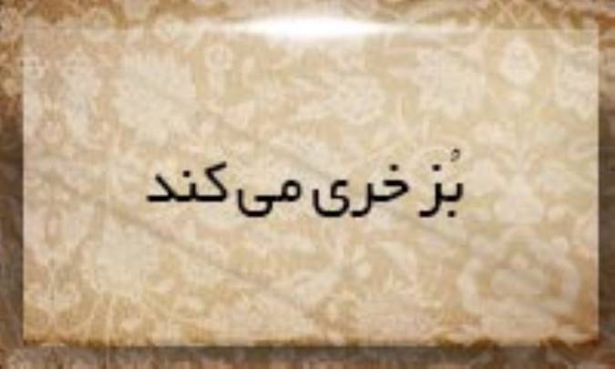 بُز خری می‌كند