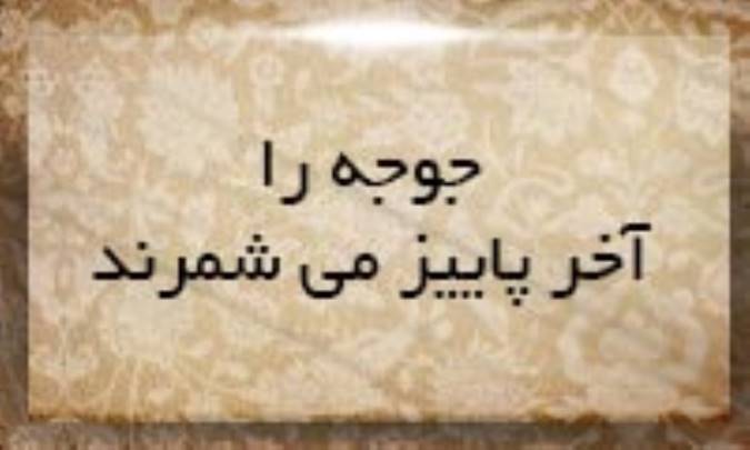 جوجه را آخر پاییز می‌شمرند
