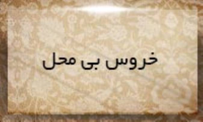 خروس بی‌محلّ