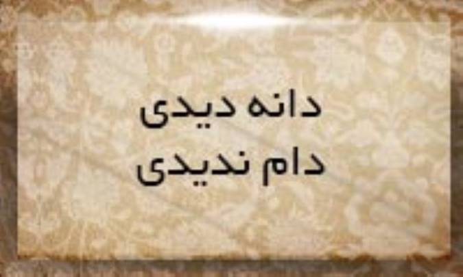 دانه دیدی، دام ندیدی