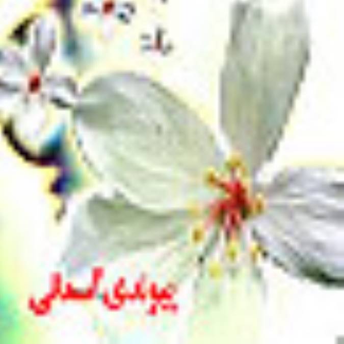 پیوندی آسمانی 