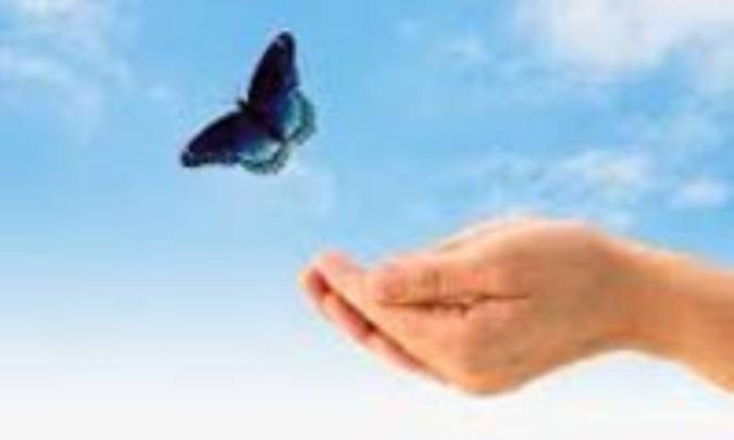 توحید و محبّت