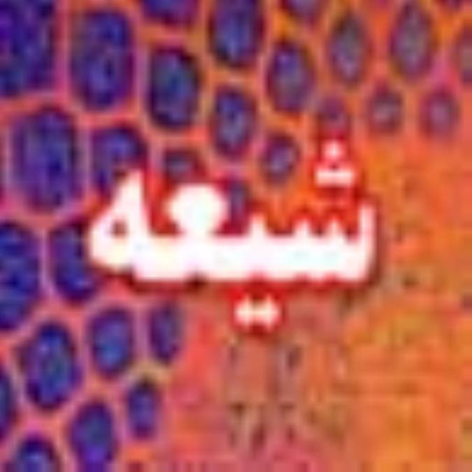 چگونه شيعه شدم