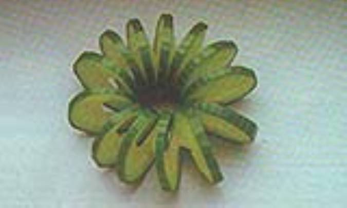 فنر خیاری