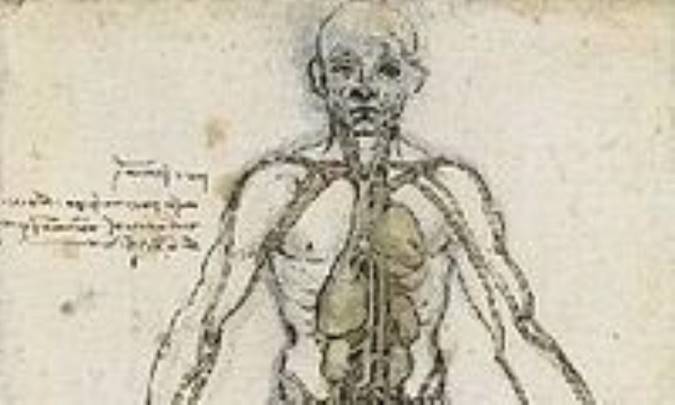 د/ خراف، رئینیر