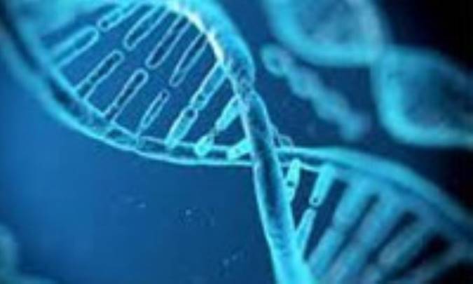 بیولوژی سلولی و سرطان (2)