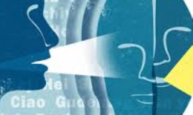 سیاست‏های زبانی