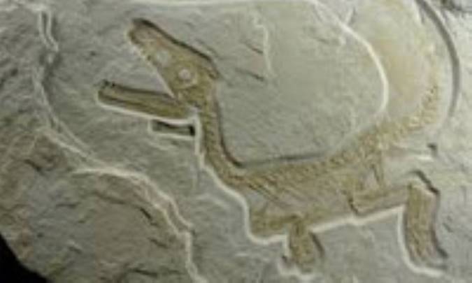 دوره کرتاسه