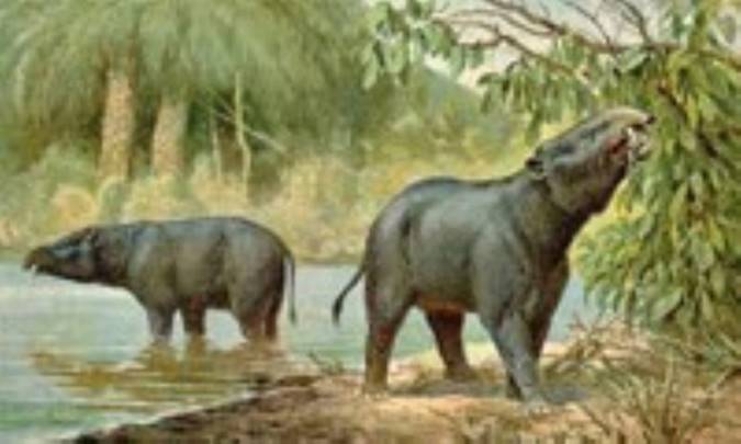 دوره پالئوژن یا نومولیتیک