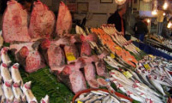 همه‌چيز درباره ماهي و ميگو(1)