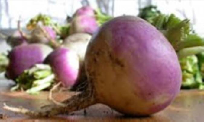 خواص تغذیه‌ای شلغم