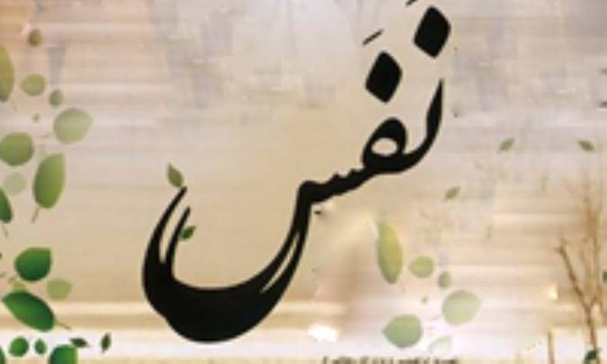 انواع نفس