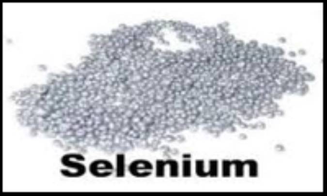 تاریخ کشف سلنیوم