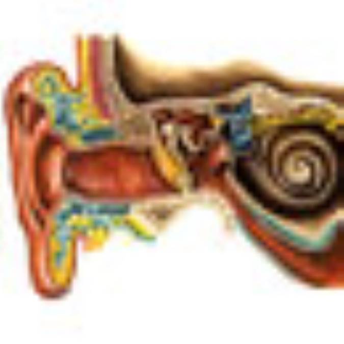 کمک‌هاي اوليه خون‌ريزي از گوش