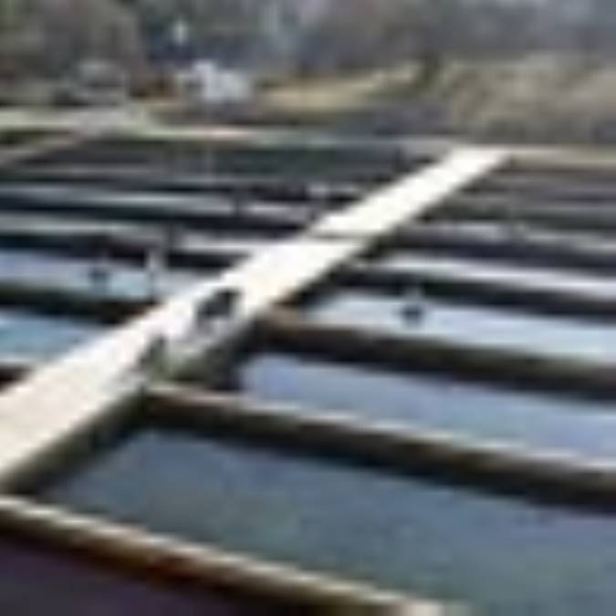 اهمیت و ارزش غذایی آبزیان و معرفی ماهیان پرورشی گرمابی