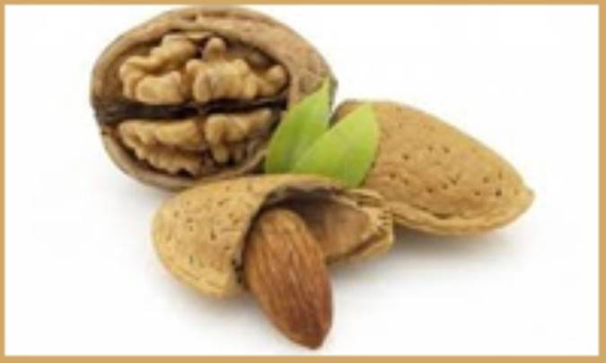 گردو در برابر بادام