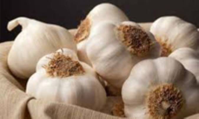 سیر و فشار خون بالا